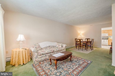 25 Evans Ave, Lutherville Timonium, MD 21093 - photo 7