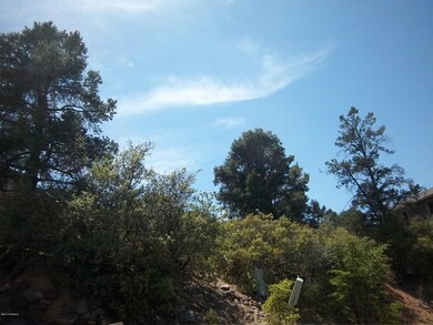 717 W Forest Dr unit 463, Payson, AZ 85541 - photo 7