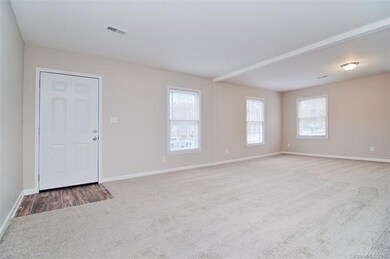 Large living room with new carpet and beautiful na