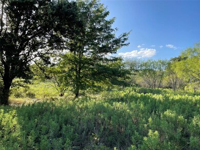 136 Tobiano Trace, Brock, TX 76087 - photo 2