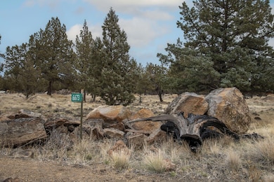 6673 SW Prospect View Dr, Culver, OR 97734 - photo 2