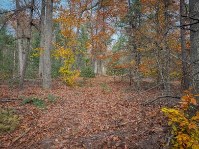 IMG_8797