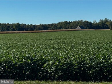 4816 Briscoe Rd, Saint Leonard, MD 20685 - photo 5