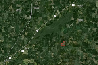 0 Mcdaniel Rd, Ethel, MS 39067 - photo 6