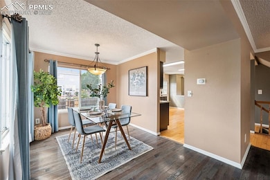 5026 Plumstead Dr, Colorado Springs, CO 80920 - photo 5