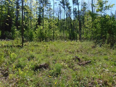 3 Old Bradley Rd unit 3, Saint Johnsbury, VT 05819 - photo 5
