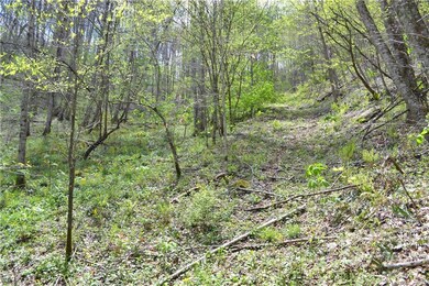 n/a Bald Mountain Rd, Burnsville, NC 28714 - photo 5