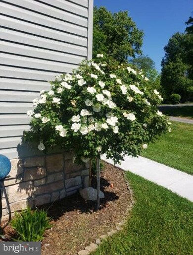 27 Middlekauff Trail, Berkeley Springs, WV 25411 - photo 5