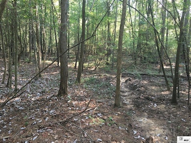 000 Highway 552 unit 20ac+/- North and So, Downsville, LA 71234 - photo 6