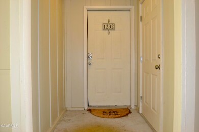 Front Door and Storage Door