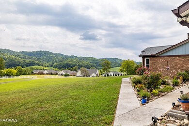 View From Driveway