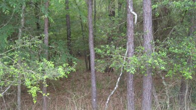 00 Cimmaron Rd, Stagecoach, TX 77355 - photo 7