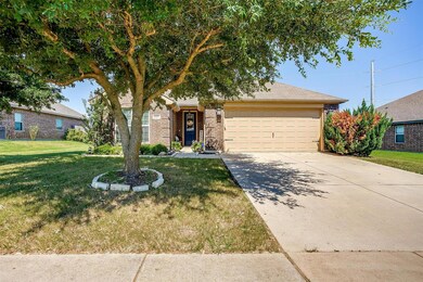 6501 Bluebird Meadows Dr, Joshua, TX 76058 - photo 2