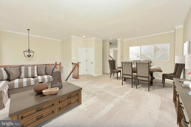 42825 Shaler St, Chantilly, VA 20152 - photo 4