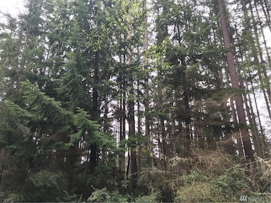 11308 Admiralty Way unit AI, Anderson Island, WA 98303 - photo 3