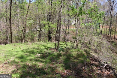 0 Spring Crest Rd unit 10509769, Cleveland, GA 30528 - photo 5