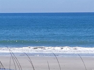 1467 S Carolina 319, Conway, SC 29526 - photo 7