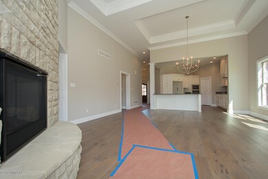 Great Room fireplace