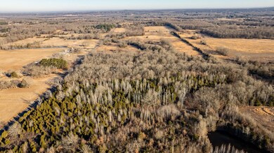 Tract 5 Rooster Rd, Conway, AR 72032 - photo 6