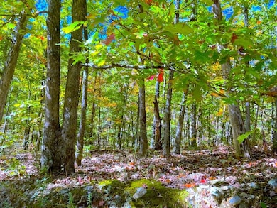 18 Longhorn Dr, Williford, AR 72482 - photo 2