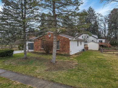 59-web-or-mls-DJI_0893