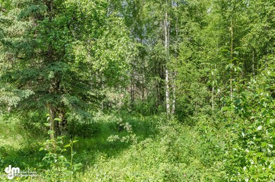 1201 W Gail Dr Wasilla AK-large-001-Back