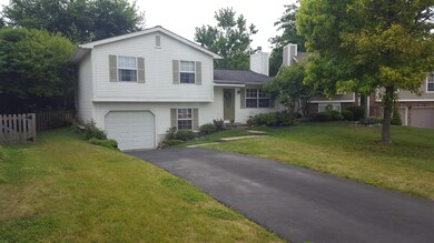 4951 Cavan Ct 3
