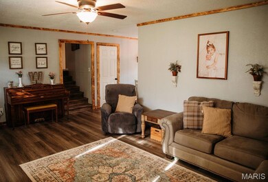 439 Highway Z, Belleview, MO 63623 - photo 5