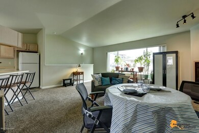 Living room window