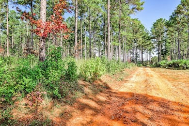 0 Old Zebulon Rd unit 25091897, Forsyth, GA 31029 - photo 6