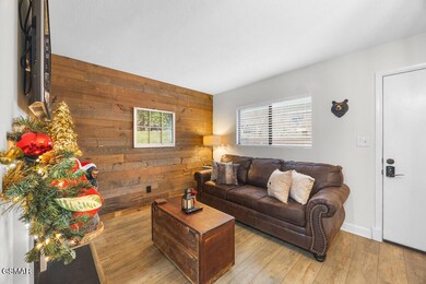 685 River Rd unit 303, Gatlinburg, TN 37738 - photo 2