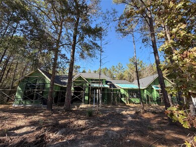 4578 Blue Agave Way, Montgomery, TX 77316 - photo 5