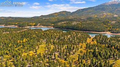 2558 County Road 28, Woodland Park, CO 80863 - photo 5