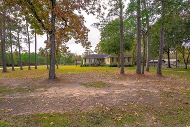 23511 Roberts Cemetery Rd, Hockley, TX 77447 - photo 2