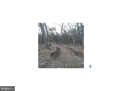 0 Quinton Marlboro Rd unit NJSA2007280, Bridgeton, NJ 08302 - photo 2