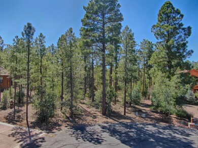 4041 W. Ninebark Torreon Land for Sale 9