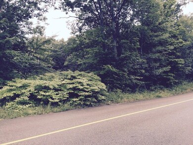 0 Brooks Rd unit 71895819, Templeton, MA 01468 - photo 3