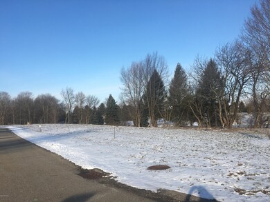 27 Michael Ln, Ionia, MI 48846 - photo 7