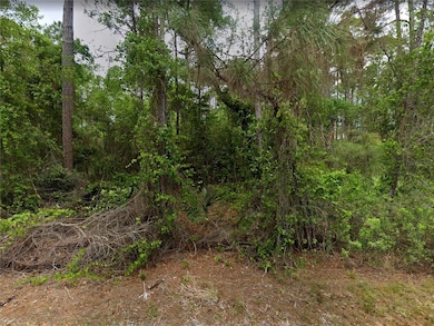 210 1st St, Georgetown Cove, FL 32139 - photo 6