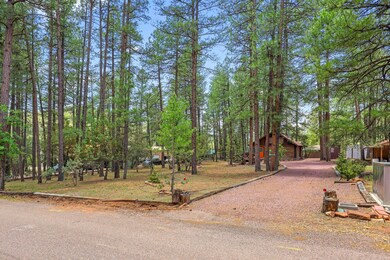 9052 W Dans Hwy, Pine, AZ 85544 - photo 3