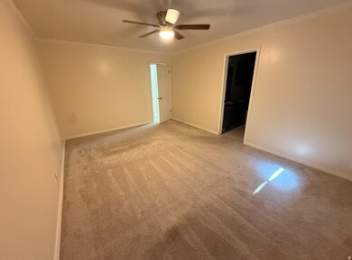 Carpeted spare room with crown molding and ceiling fan