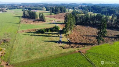 168 Racyn Ln, Winlock, WA 98596 - photo 3