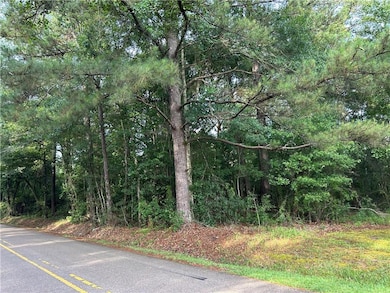 0 Lee Settlement Rd, Folsom, LA 70437 - photo 6