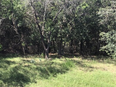 10055 Bluffview Ct, Whitney, TX 76692 - photo 4