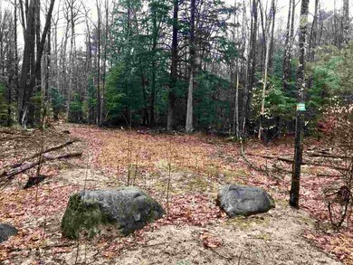 0 Old County Rd N unit Lot 18 4688423, Deering, NH 03244 - photo 2