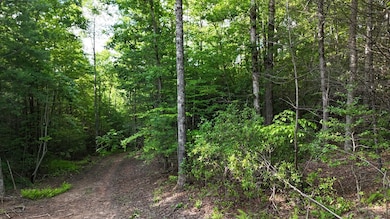 TR 2 E New Hope Rd, Ellijay, GA 30536 - photo 5