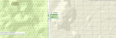 1355 Dill Rd, Bithlo, FL 32820 - photo 3