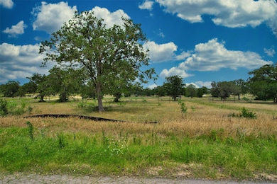 1067 Ferguson Loop, Dale, TX 78616 - photo 6