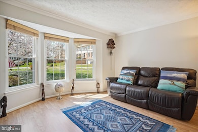 3438 Austin Ct, Alexandria, VA 22310 - photo 7