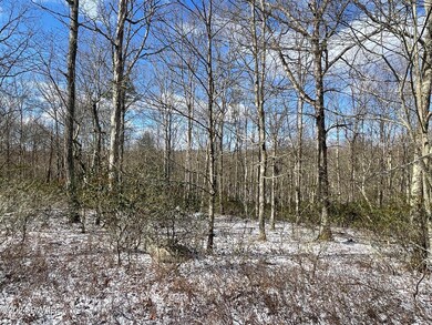 0 Parkwood Dr unit PWBPW240690, Hawley, PA 18428 - photo 6